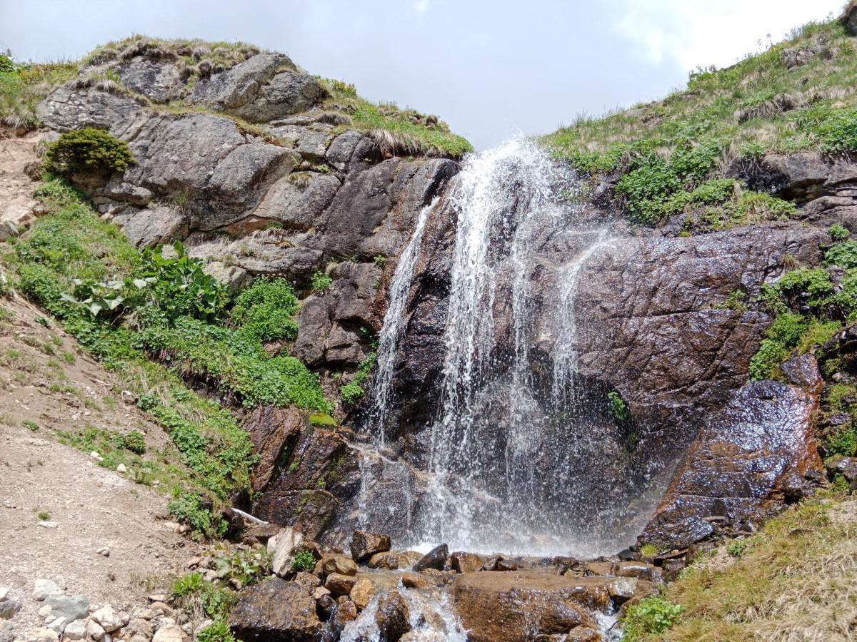 Avusor Mola Cafe Ve Pansiyon Camlihemsin Экстерьер фото